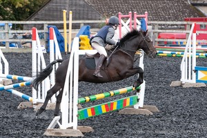 Class 4 - Fences 2'3 to 2'6